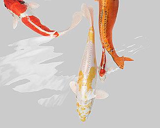 《黎明杀机》衍生单机游戏《弗兰克·斯通的阴影》现已推出试玩版